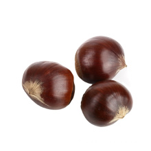 2021 new crop chinese chestnut price per kg for sale ,hot selling!